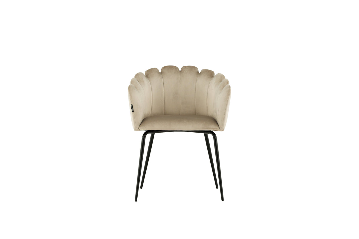 Limhamn matstol svart/beige sammet