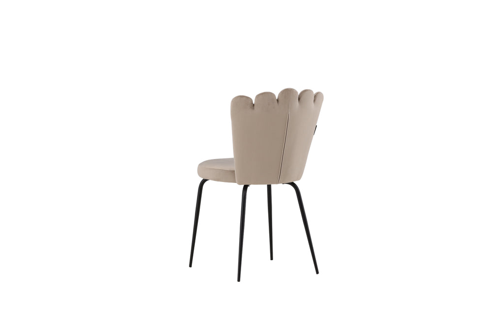 Limhamn Light matstol 2-pack svart och beige sammet