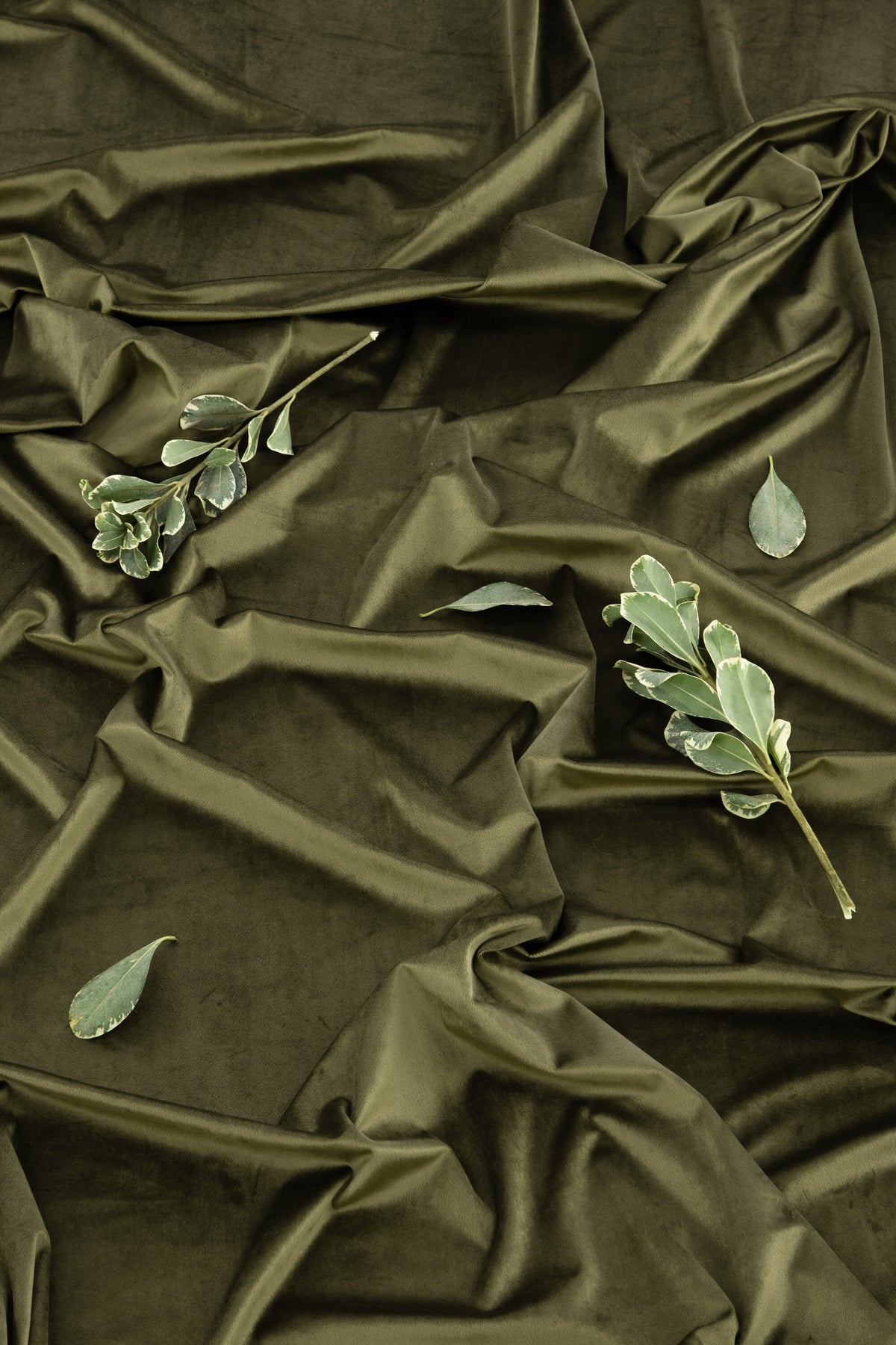 Mary sammetsgardin 250x135 cm mossgrön