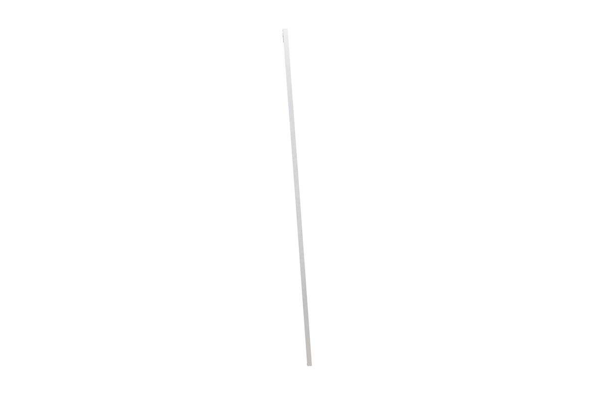 Dalton spegel 67x220 cm silverfärgad