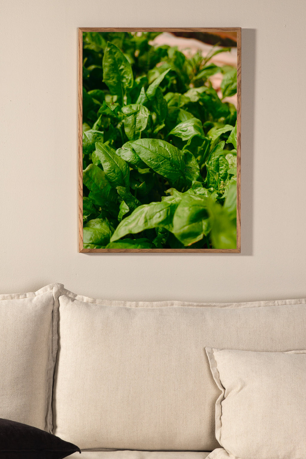 Grönt blad affisch 50x70 cm grön