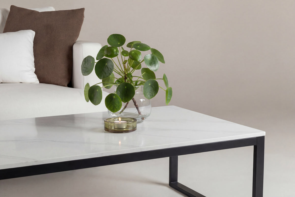 Estelle soffbord 120x60x36 cm svart/vit med marmorutseende