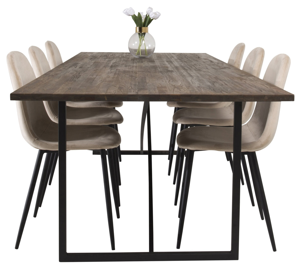 Padang matbord svart/mörk teak 250x100xH76 med 6 Polar matstolar svarta ben/beige sammet