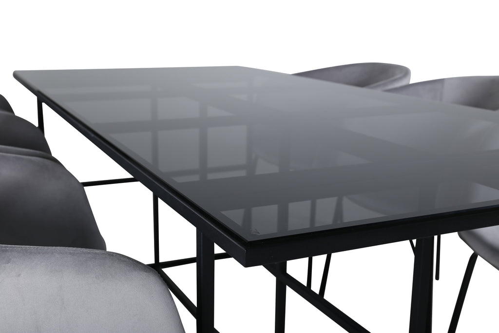 Leif rektangulär matgrupp med 6 Berit-stolar svart/ljusgrå rökfärgat glas och sammet